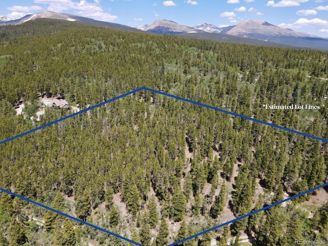 Melba Ln, Fairplay, CO 80440