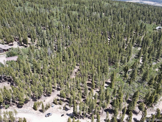 Melba Ln, Fairplay, CO 80440