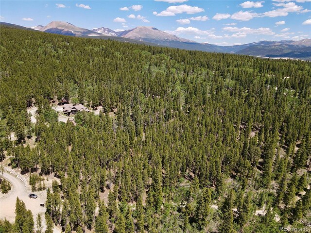 Melba Ln, Fairplay, CO 80440
