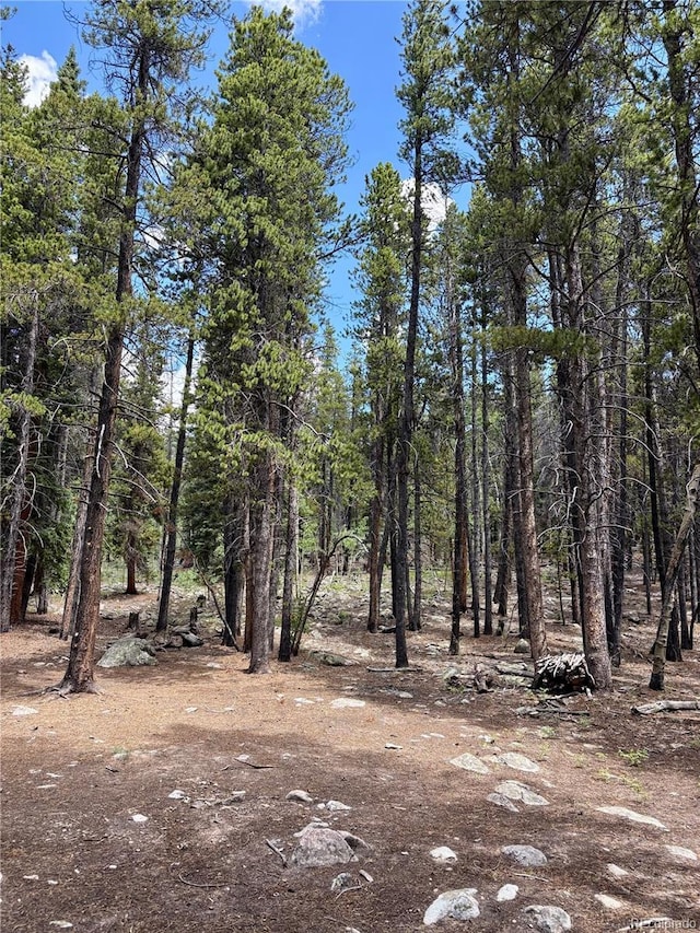 Melba Ln, Fairplay, CO 80440