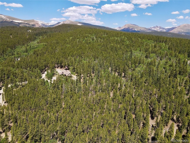 Melba Ln, Fairplay, CO 80440