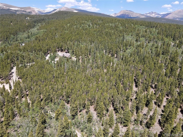Melba Ln, Fairplay, CO 80440