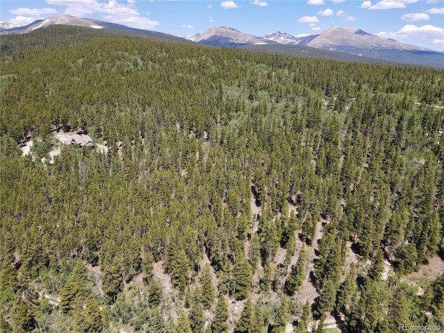 Melba Ln, Fairplay, CO 80440
