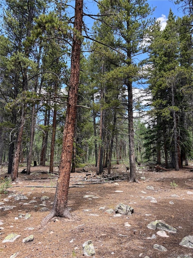 Melba Ln, Fairplay, CO 80440
