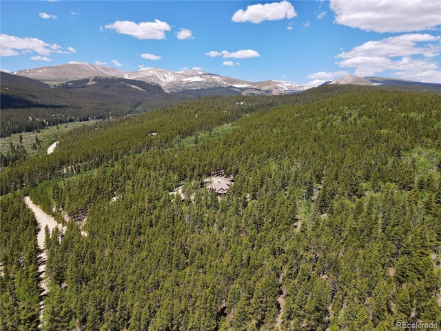 Melba Ln, Fairplay, CO 80440