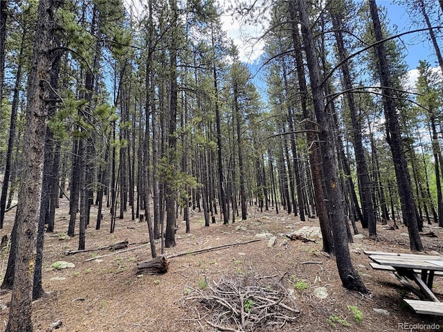 Melba Ln, Fairplay, CO 80440