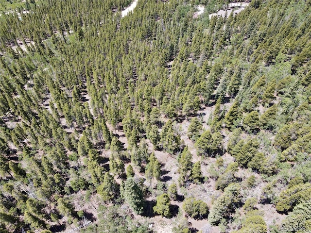 Melba Ln, Fairplay, CO 80440