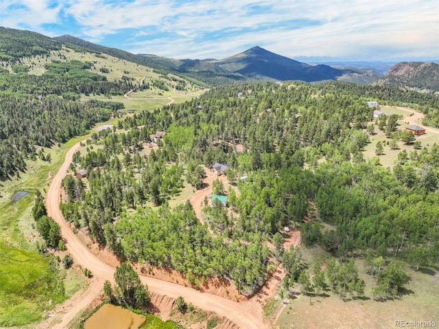 aerial view of mountains and a forest