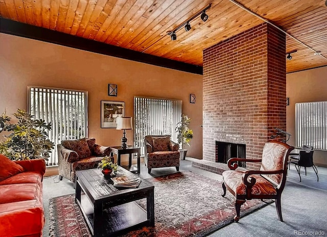 living area with wooden ceiling, carpet flooring, and track lighting