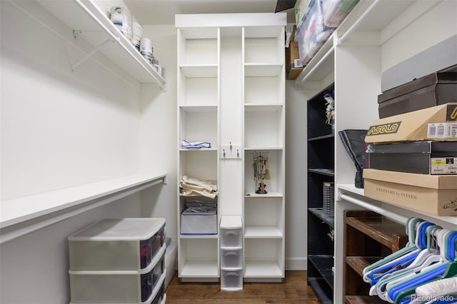 walk in closet with dark hardwood / wood-style flooring