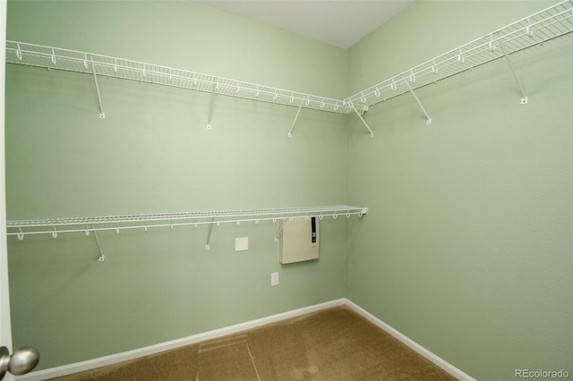 10597 Ashfield St, Highlands Ranch, CO 80126 - spacious closet with carpet flooring