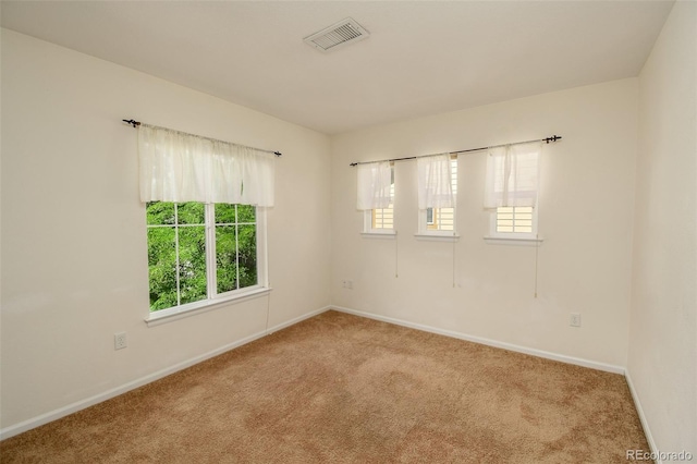 10597 Ashfield St, Highlands Ranch, CO 80126 - empty room featuring carpet floors and plenty of natural light