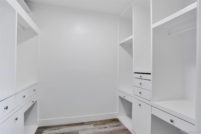 spacious closet with light wood-type flooring