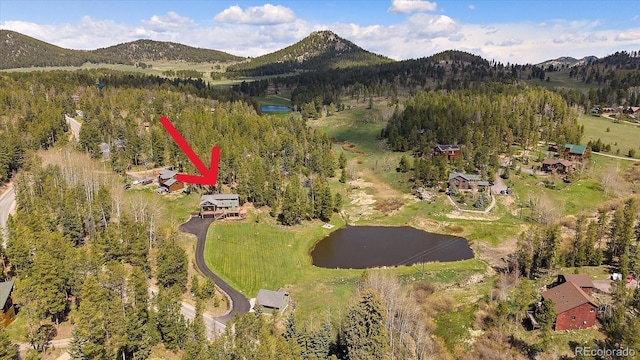 22025 Oehlmann Park Rd, Conifer, CO 80433 - photo 4