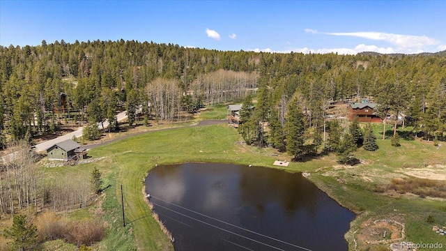 22025 Oehlmann Park Rd, Conifer, CO 80433 - photo 5
