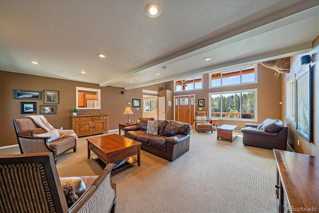 22025 Oehlmann Park Rd, Conifer, CO 80433 - photo 17