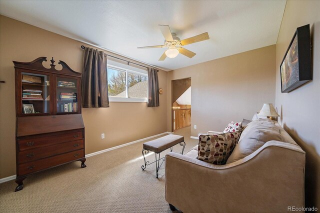 22025 Oehlmann Park Rd, Conifer, CO 80433 - photo 29