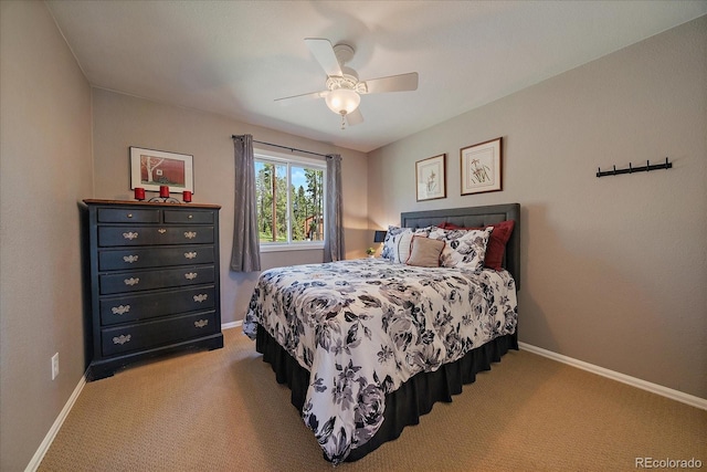 22025 Oehlmann Park Rd, Conifer, CO 80433 - photo 32