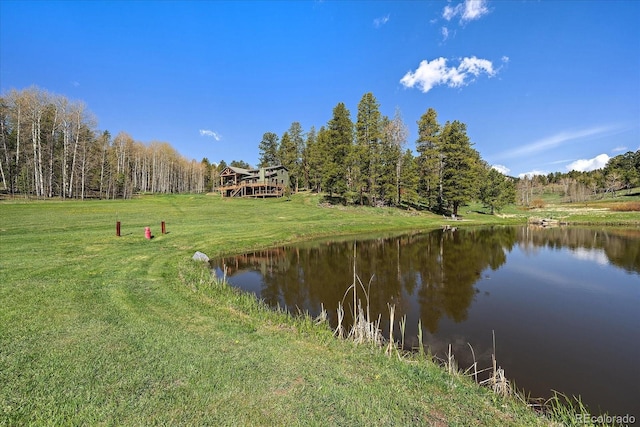 22025 Oehlmann Park Rd, Conifer, CO 80433 - photo 44