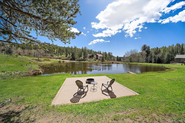 22025 Oehlmann Park Rd, Conifer, CO 80433 - photo 45