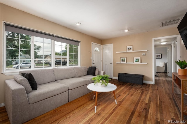 living room featuring wood-type flooring