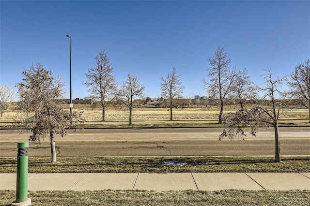 view of yard with a rural view