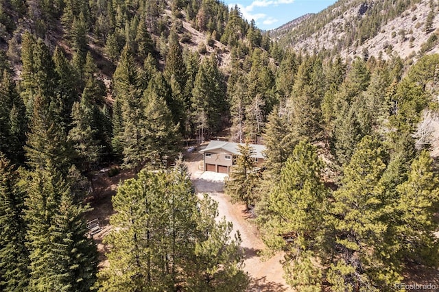 993 Fall River Rd, Idaho Springs, CO 80452 - bird's eye view with a forest view and a mountain view