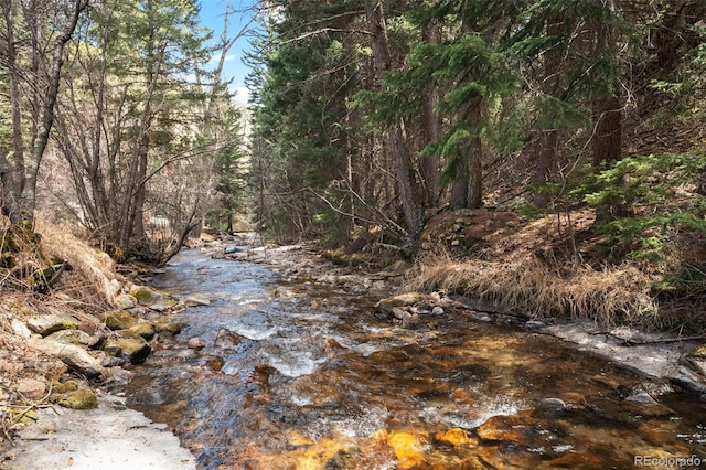 993 Fall River Rd, Idaho Springs, CO 80452 - view of nature