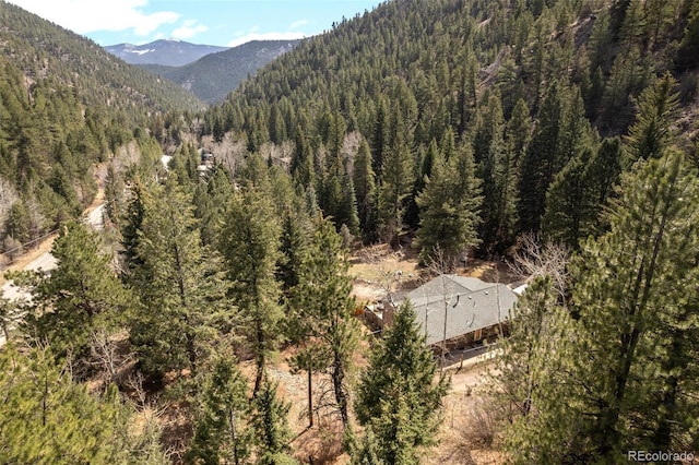 993 Fall River Rd, Idaho Springs, CO 80452 - view of mountain feature featuring a wooded view