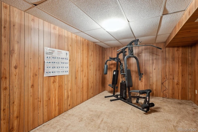 800 Park View Pl, Castle Rock, CO 80104 - exercise area with carpet flooring, a drop ceiling, and wood walls