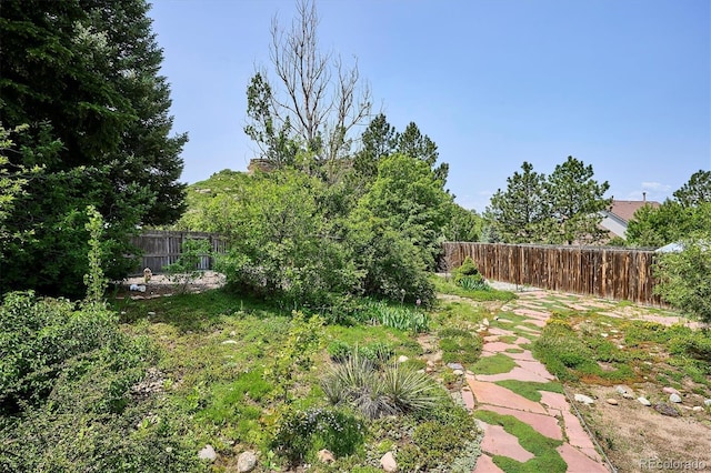 800 Park View Pl, Castle Rock, CO 80104 - view of fenced backyard