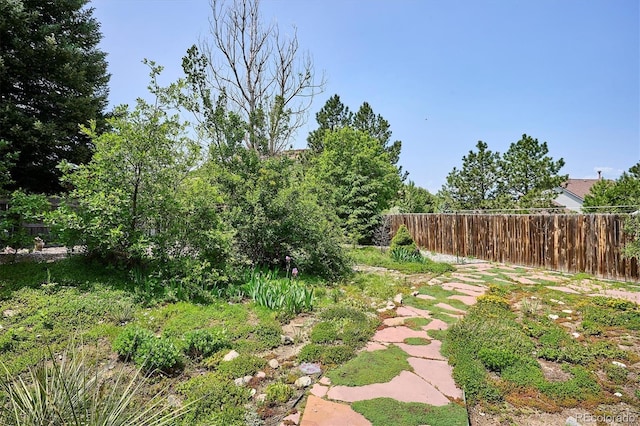 800 Park View Pl, Castle Rock, CO 80104 - view of yard