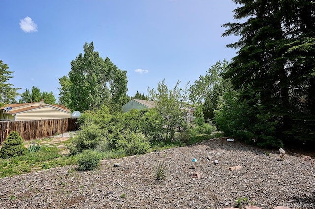 800 Park View Pl, Castle Rock, CO 80104 - view of yard
