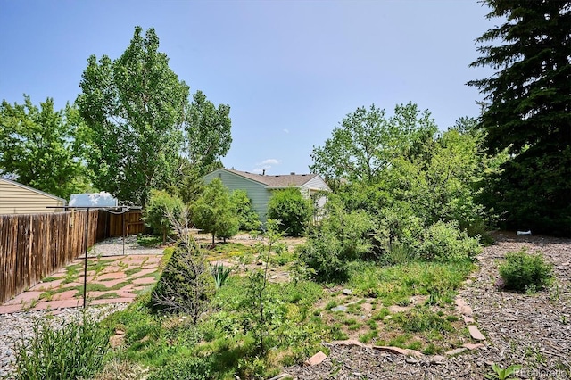 800 Park View Pl, Castle Rock, CO 80104 - view of yard