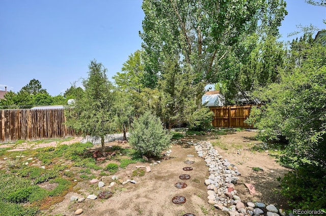 800 Park View Pl, Castle Rock, CO 80104 - view of yard