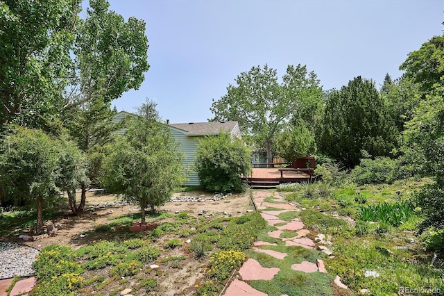 800 Park View Pl, Castle Rock, CO 80104 - view of yard featuring a deck