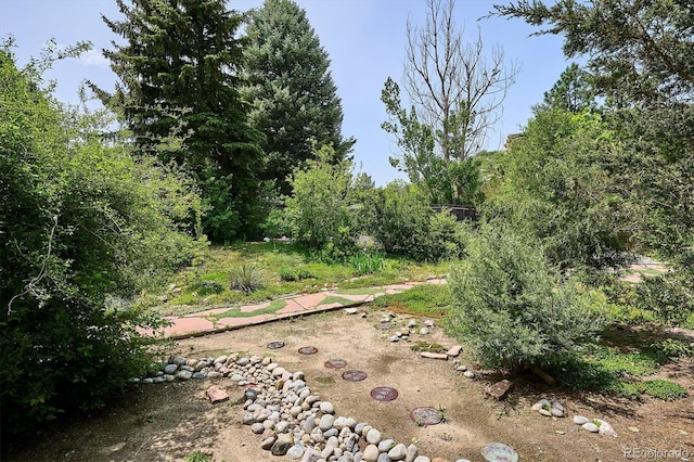 800 Park View Pl, Castle Rock, CO 80104 - view of yard