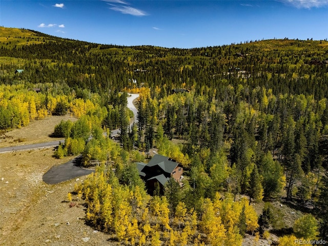 228 Glacier Ridge Rd, Alma, CO 80420 - aerial view of property and surrounding area with a forest