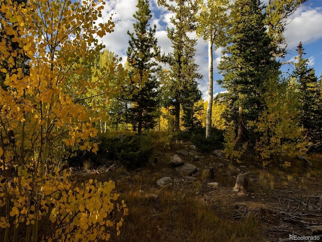 228 Glacier Ridge Rd, Alma, CO 80420 - view of nature