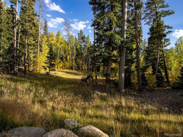 228 Glacier Ridge Rd, Alma, CO 80420 - view of woods