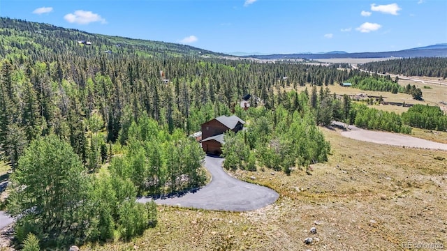 228 Glacier Ridge Rd, Alma, CO 80420 - aerial overview of property's location featuring a heavily wooded area and mountains