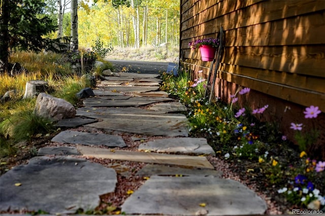 228 Glacier Ridge Rd, Alma, CO 80420 - view of yard