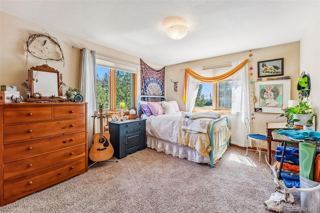 228 Glacier Ridge Rd, Alma, CO 80420 - bedroom with carpet flooring