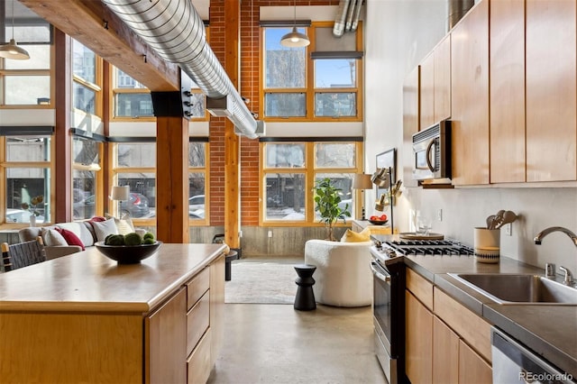 kitchen with appliances with stainless steel finishes, a towering ceiling, decorative light fixtures, sink, and a center island