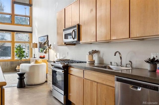 kitchen with appliances with stainless steel finishes, light brown cabinetry, and sink