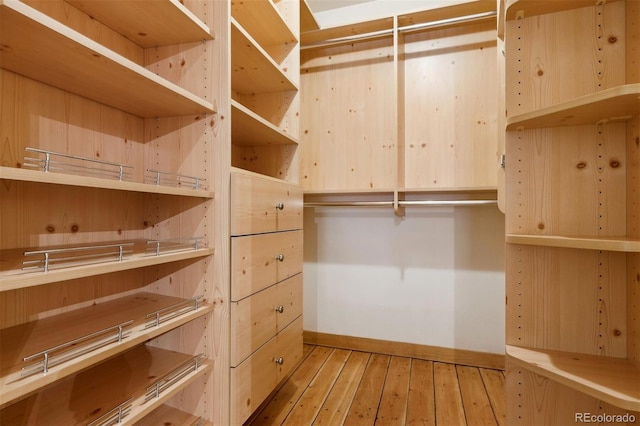 spacious closet with light hardwood / wood-style flooring