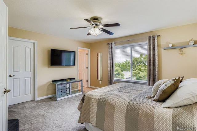 795 Ridgemont Cir, Highlands Ranch, CO 80126 - photo 18