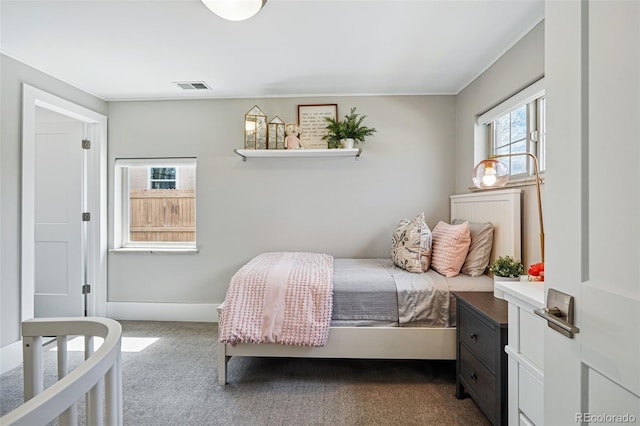 796 Ivanhoe St, Denver, CO 80220 - photo 27