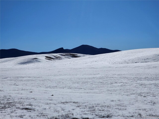 Park Ave, Hartsel, CO 80449