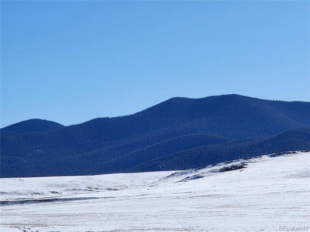 Park Ave, Hartsel, CO 80449